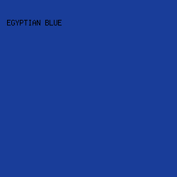 193D99 - Egyptian Blue color image preview