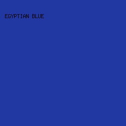 2137A1 - Egyptian Blue color image preview