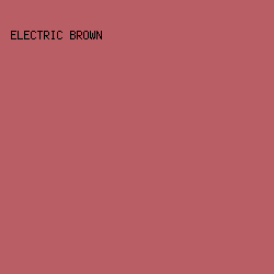 BA5E65 - Electric Brown color image preview