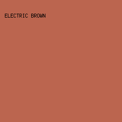 BB654F - Electric Brown color image preview