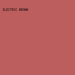 BC5E5E - Electric Brown color image preview