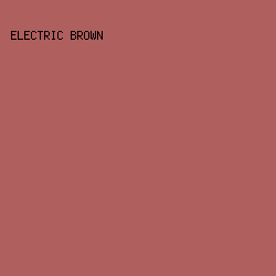 ae5f5e - Electric Brown color image preview