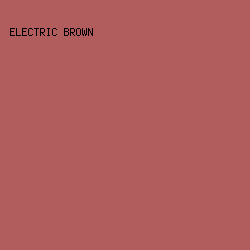 b15d5d - Electric Brown color image preview