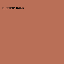 b96f57 - Electric Brown color image preview