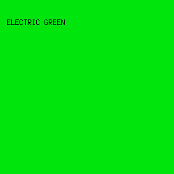 00E60D - Electric Green color image preview