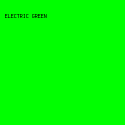 00FF00 - Electric Green color image preview