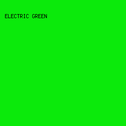 0BEA0B - Electric Green color image preview