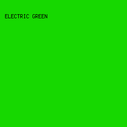 16d800 - Electric Green color image preview