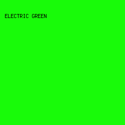 18FB09 - Electric Green color image preview