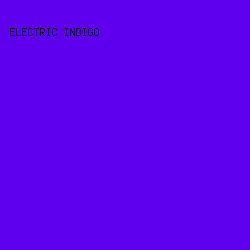 5e00ed - Electric Indigo color image preview