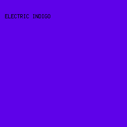 5e02e9 - Electric Indigo color image preview