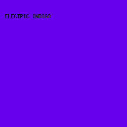 6600ed - Electric Indigo color image preview