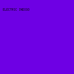 6E00E4 - Electric Indigo color image preview