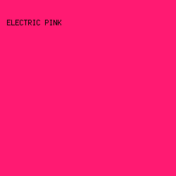 FF1A72 - Electric Pink color image preview