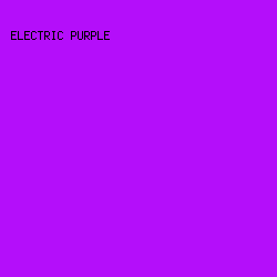 B40EFA - Electric Purple color image preview