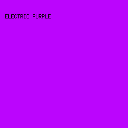 BB05FD - Electric Purple color image preview