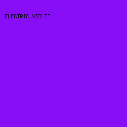 870EF6 - Electric Violet color image preview