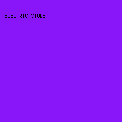 8816F9 - Electric Violet color image preview