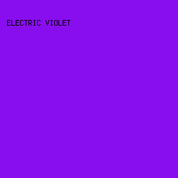 890EEF - Electric Violet color image preview