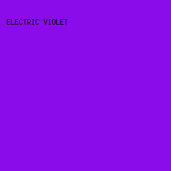 8A0CEA - Electric Violet color image preview
