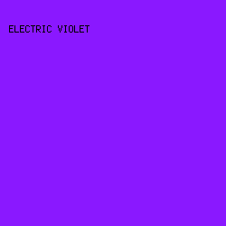 8A18FF - Electric Violet color image preview