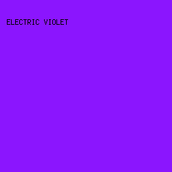 8B15FE - Electric Violet color image preview