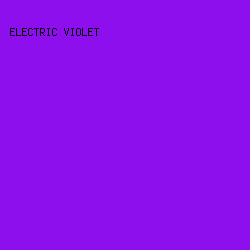 8e0fed - Electric Violet color image preview