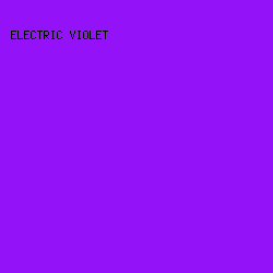 9312F8 - Electric Violet color image preview