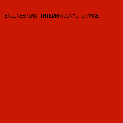 CB1804 - Engineering International Orange color image preview