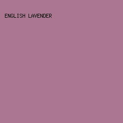 AB7691 - English Lavender color image preview