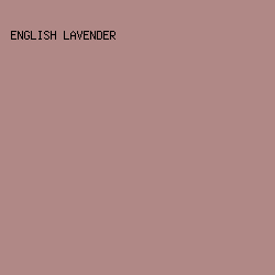 B08886 - English Lavender color image preview