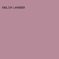 B68A99 - English Lavender color image preview