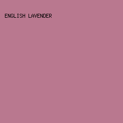 B9788F - English Lavender color image preview