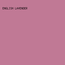 C07995 - English Lavender color image preview