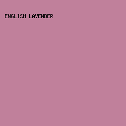 C0809B - English Lavender color image preview