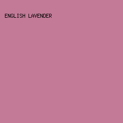 C27A96 - English Lavender color image preview
