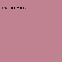 c08290 - English Lavender color image preview