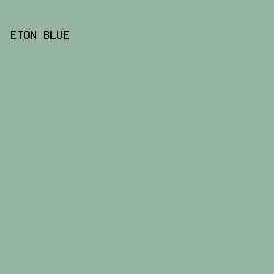 95B4A2 - Eton Blue color image preview