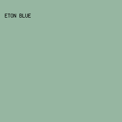 96B6A1 - Eton Blue color image preview