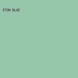 98C6AD - Eton Blue color image preview