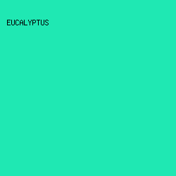 1FE8B3 - Eucalyptus color image preview