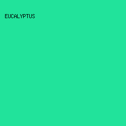 21e39b - Eucalyptus color image preview