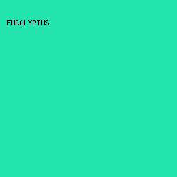 22e4ac - Eucalyptus color image preview