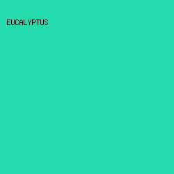 24DBAD - Eucalyptus color image preview