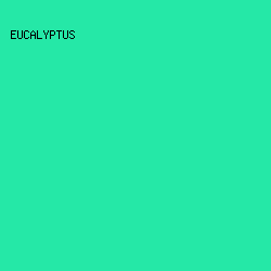 25E8A7 - Eucalyptus color image preview