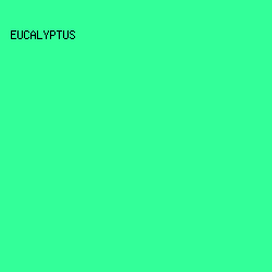 33ff99 - Eucalyptus color image preview