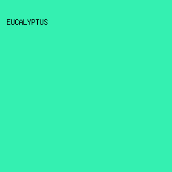34F0B1 - Eucalyptus color image preview