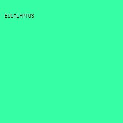 36FEA4 - Eucalyptus color image preview