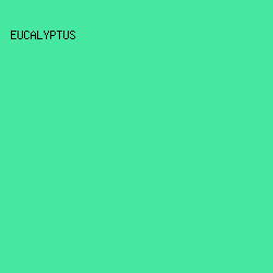 46E7A1 - Eucalyptus color image preview