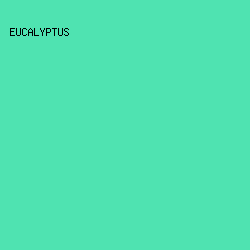 4fe3b1 - Eucalyptus color image preview
